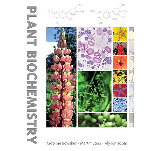 Plant Biochemistry, Caroline Bowsher, Martin Steer, Alyson Tobin