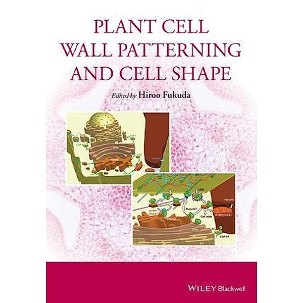 Plant Cell Wall Patterning and Cell Shape
