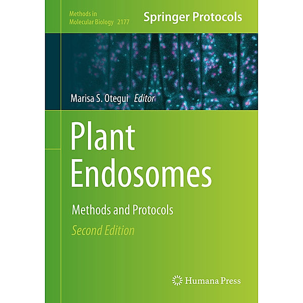 Plant Endosomes