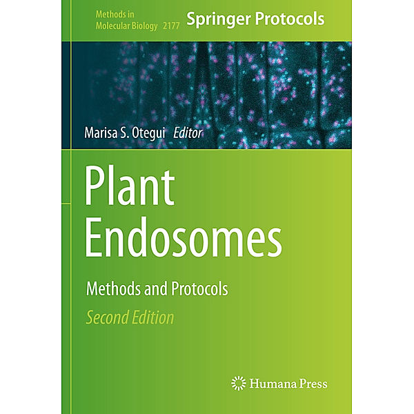 Plant Endosomes