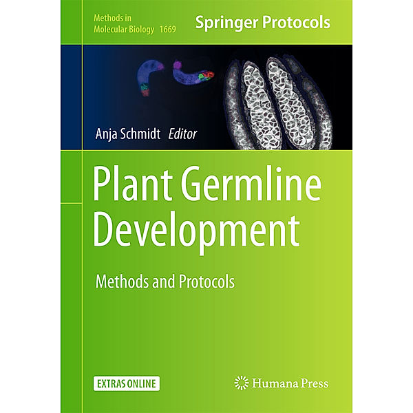 Plant Germline Development