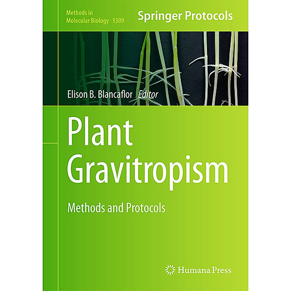 Plant Gravitropism