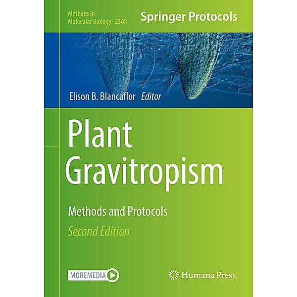 Plant Gravitropism