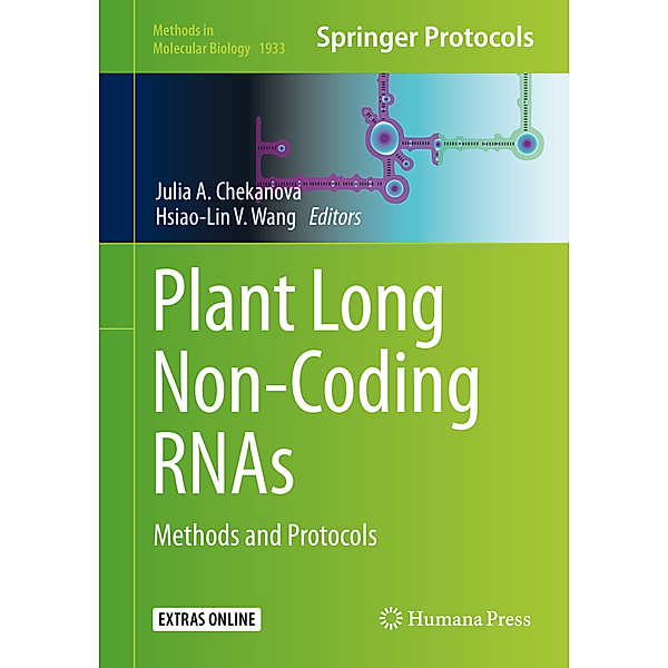 Plant Long Non-Coding RNAs
