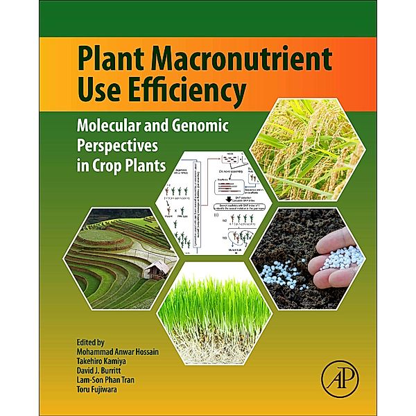 Plant Macronutrient Use Efficiency