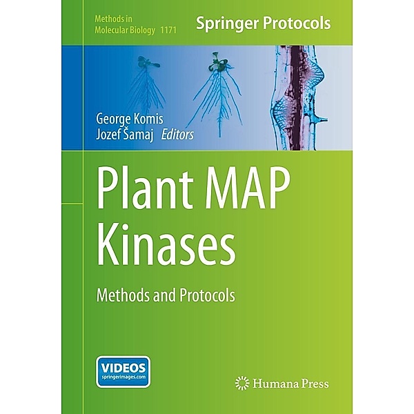 Plant MAP Kinases / Methods in Molecular Biology Bd.1171