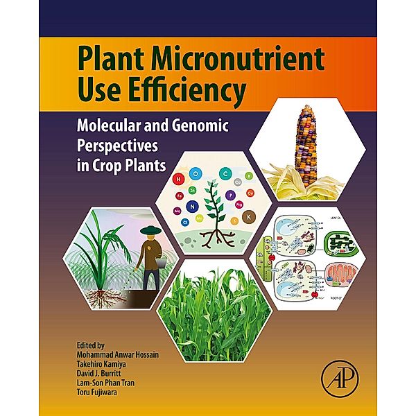 Plant Micronutrient Use Efficiency