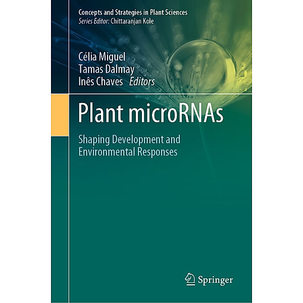 Plant microRNAs