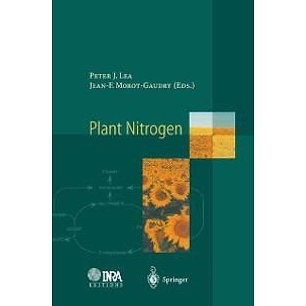 Plant Nitrogen