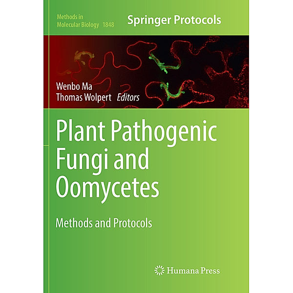 Plant Pathogenic Fungi and Oomycetes