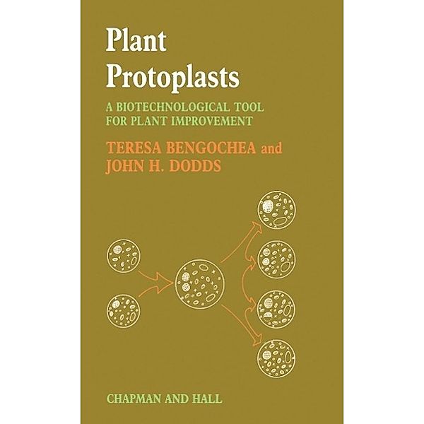 Plant Protoplasts, Tessa Bengochea