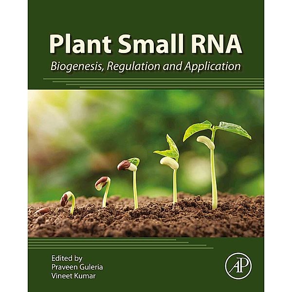 Plant Small RNA