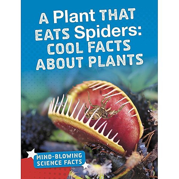 Plant That Eats Spiders, Kaitlyn Duling