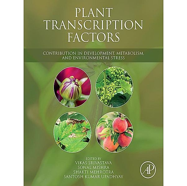 Plant Transcription Factors