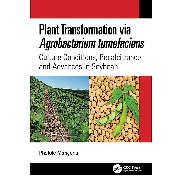 Plant Transformation via Agrobacterium Tumefaciens, Phetole Mangena
