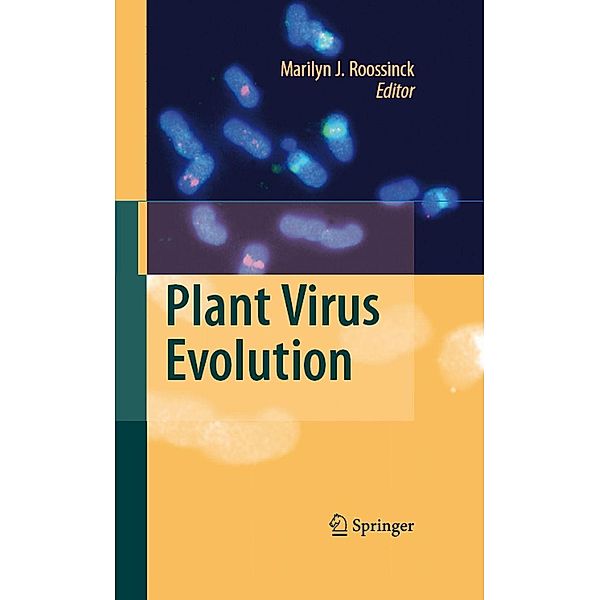 Plant Virus Evolution