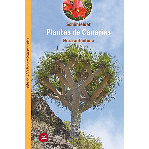 Plantas de Canarias / Guías de Naturaleza Bd.1, Peter Schönfelder, Ingrid Schönfelder