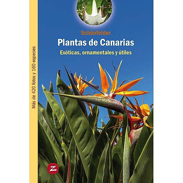 Plantas de Canarias / Guías de Naturaleza Bd.2, Peter Schönfelder, Ingrid Schönfelder