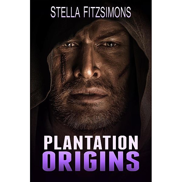 Plantation Origins (The Plantation, #6) / The Plantation, Stella Fitzsimons