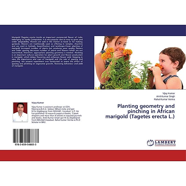 Planting geometry and pinching in African marigold (Tagetes erecta L.), Vijay Kumar, Amit Kumar Singh, Rahul Kumar Verma