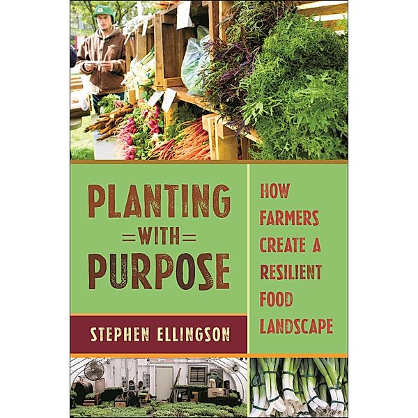 Planting With Purpose, Stephen Ellingson