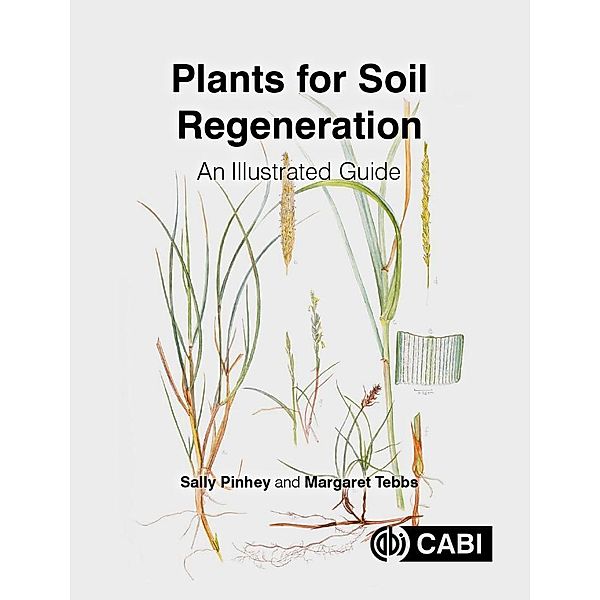 Plants for Soil Regeneration, Sally Pinhey, Margaret Tebbs