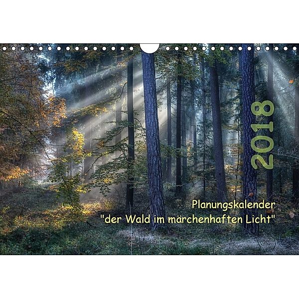 Planungskalender Märchenwald 2018 (Wandkalender 2018 DIN A4 quer), Hans Zitzler