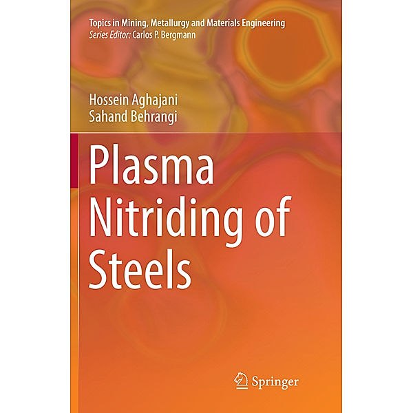 Plasma Nitriding of Steels, Hossein Aghajani, Sahand Behrangi
