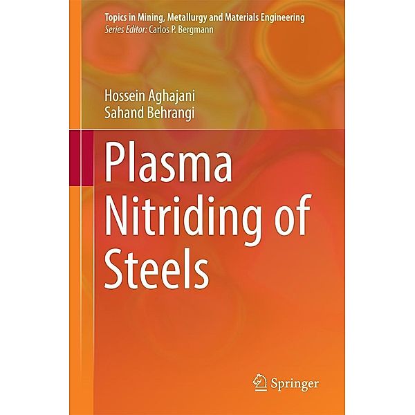 Plasma Nitriding of Steels / Topics in Mining, Metallurgy and Materials Engineering, Hossein Aghajani, Sahand Behrangi