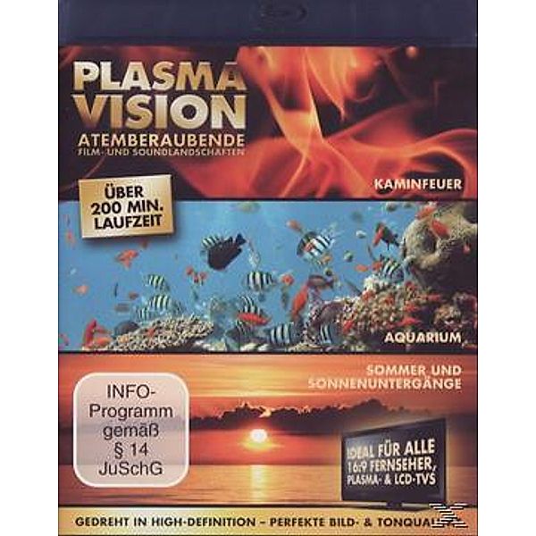 Plasma Vision, Plasma Vision