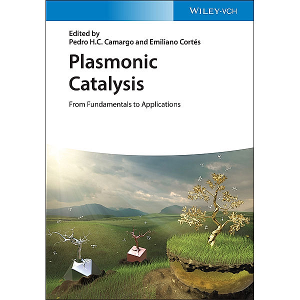 Plasmonic Catalysis, Pedro H. C. Camargo