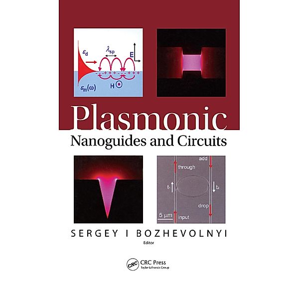 Plasmonic Nanoguides and Circuits