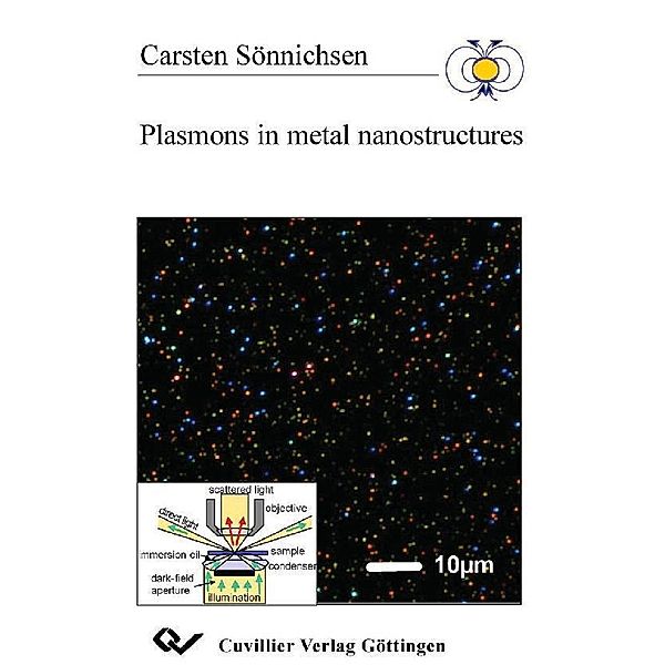 Plasmons in metal nanostructures