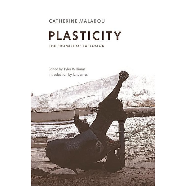 Plasticity, Catherine Malabou