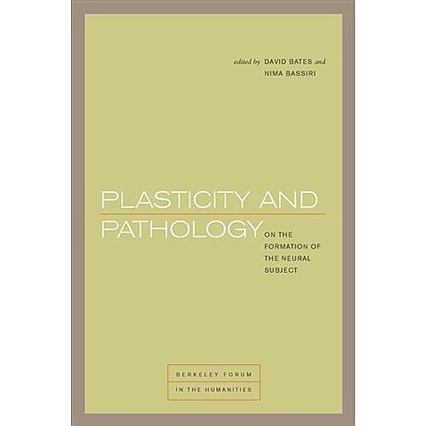 Plasticity and Pathology, Nima Bassiri