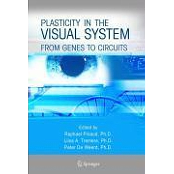 Plasticity in the Visual System