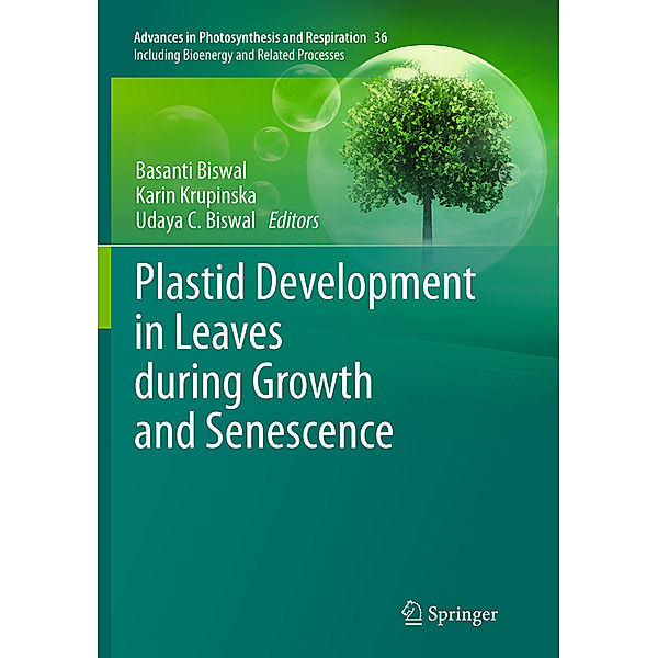 Plastid Development in Leaves during Growth and Senescence