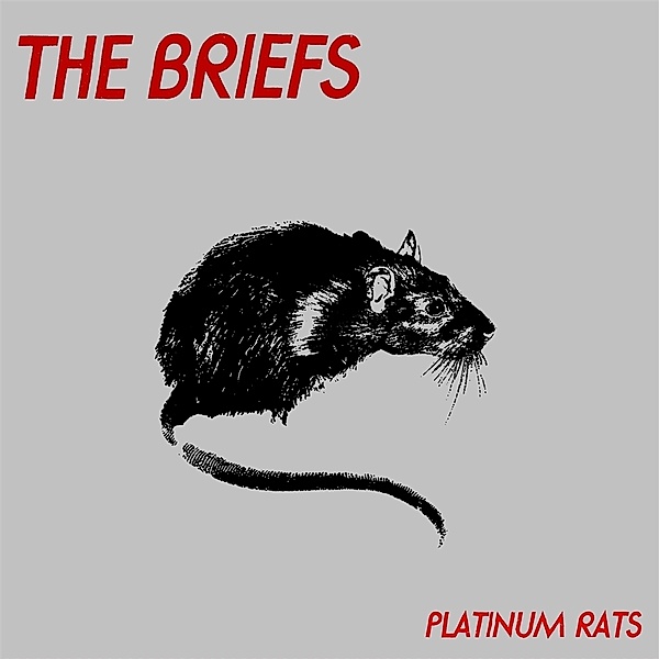 PLATINUM RATS, The Briefs