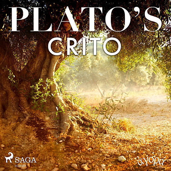 Plato's Crito, Platon