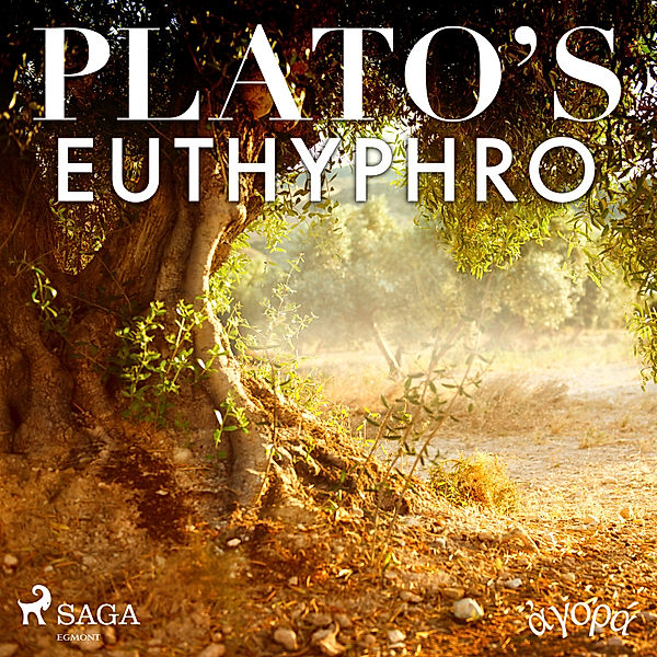 Plato's Euthyphro, Platon