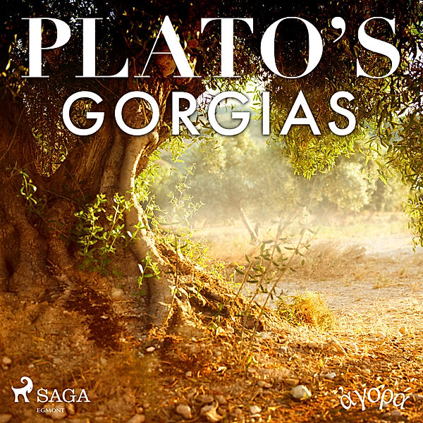 Plato's Gorgias, Platon