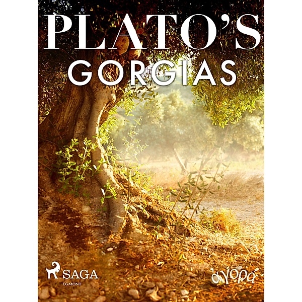 Plato's Gorgias, Platon