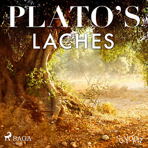 Plato's Laches, Platon