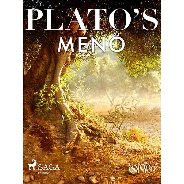 Plato's Meno, Platon