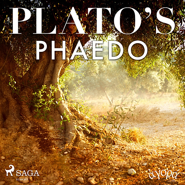 Plato's Phaedo, Platon