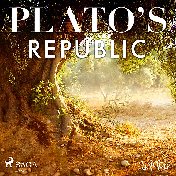 Plato's Republic, Platon