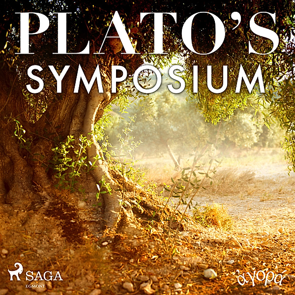 Plato's Symposium, Platon