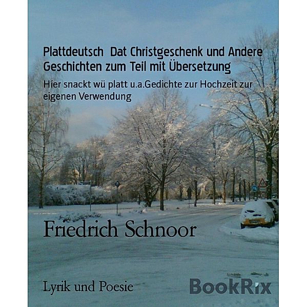 Plattdeutsch  Dat Christgeschenk und Andere Geschichten zum Teil mit Übersetzung, Friedrich Schnoor