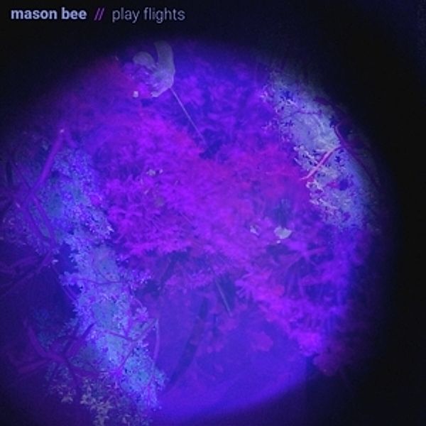 Play Flights (Vinyl), Mason Bee