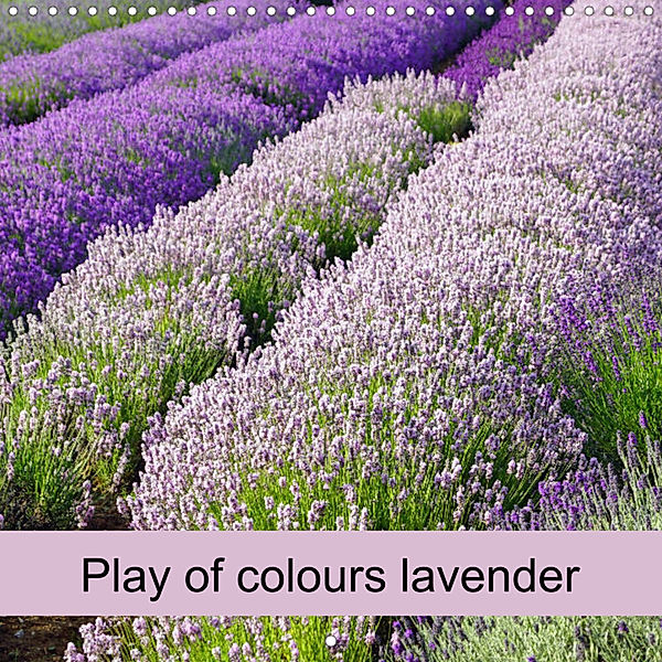 Play of colours lavender (Wall Calendar 2023 300 × 300 mm Square), Babett Paul - Babett's Bildergalerie